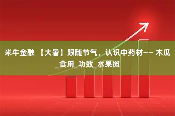米牛金融 【大暑】跟随节气，认识中药材—— 木瓜_食用_功效_水果摊